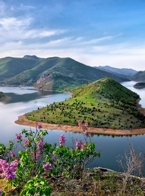 pexels-bkrustev-225203